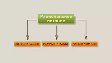 Основы рационального питания