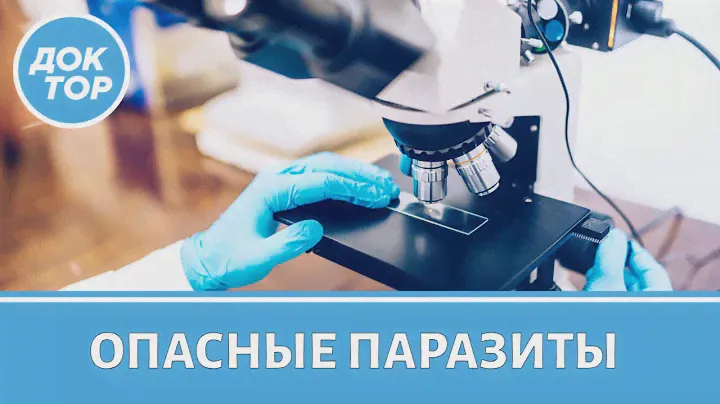 Опасные паразиты: какие анализы эффективны