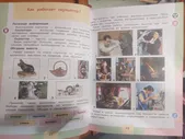 Технология. 3 класс. Учебник. ФГОС
