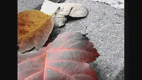 Технология   Рано или поздно3